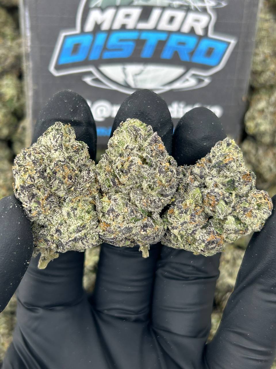 #N-LC081 - Space Gusherz (Indica)