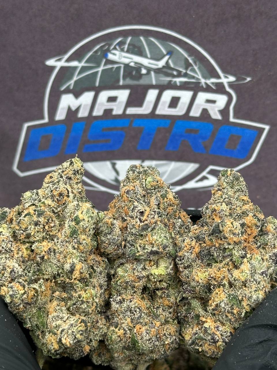 #KI505 - Peach Gelato (Hybrid)