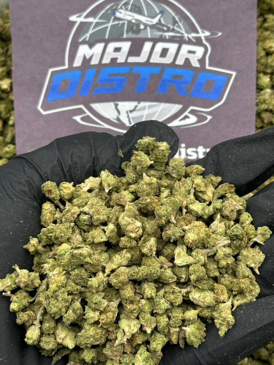 #SS479 - Stone Timber SM (Indica Hybrid)