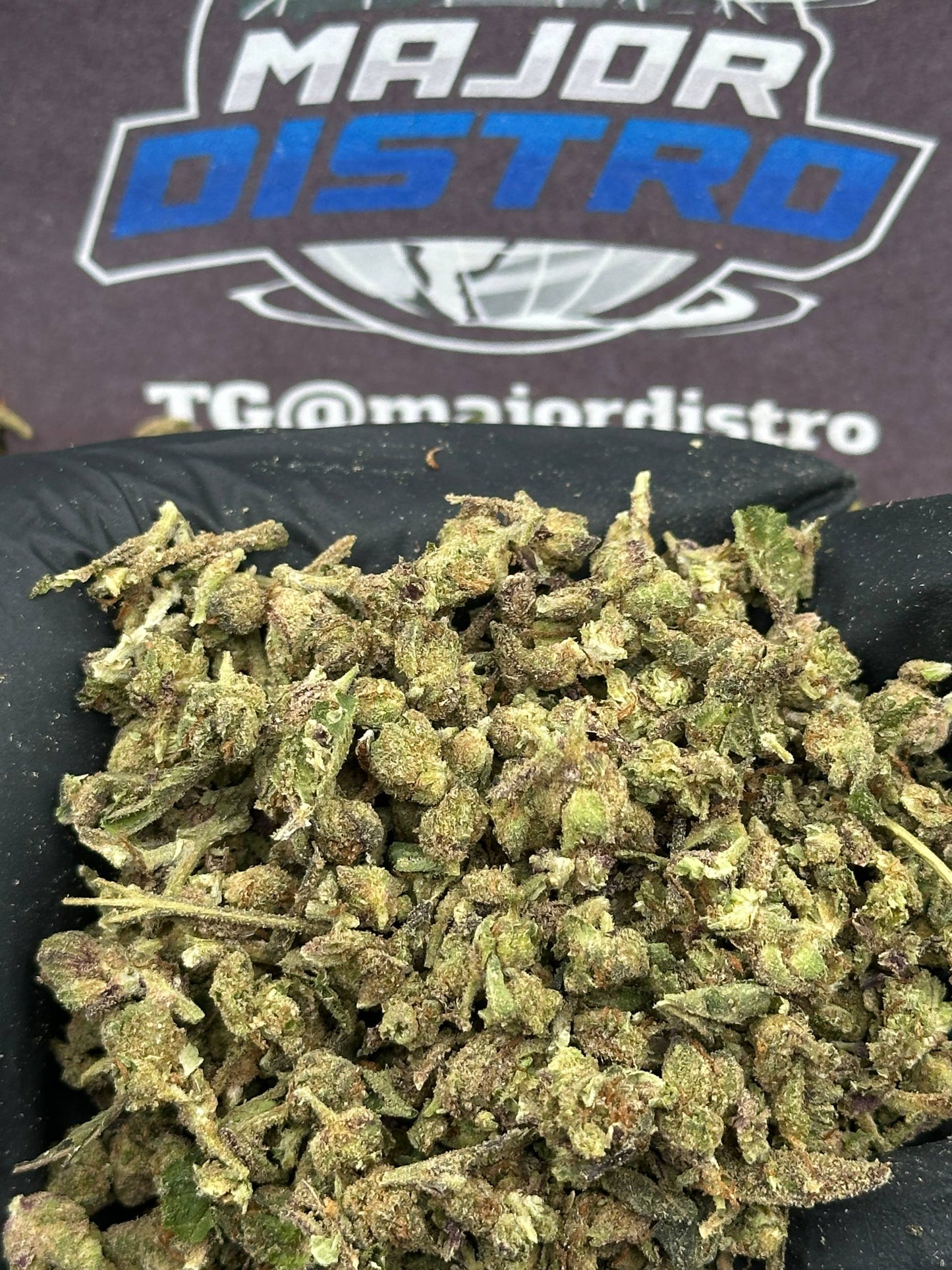 #MC01 - Micros (Indica)