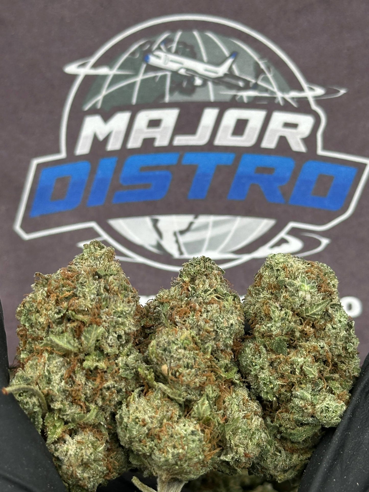 #EA538 - 9 LB Hammer (Indica)