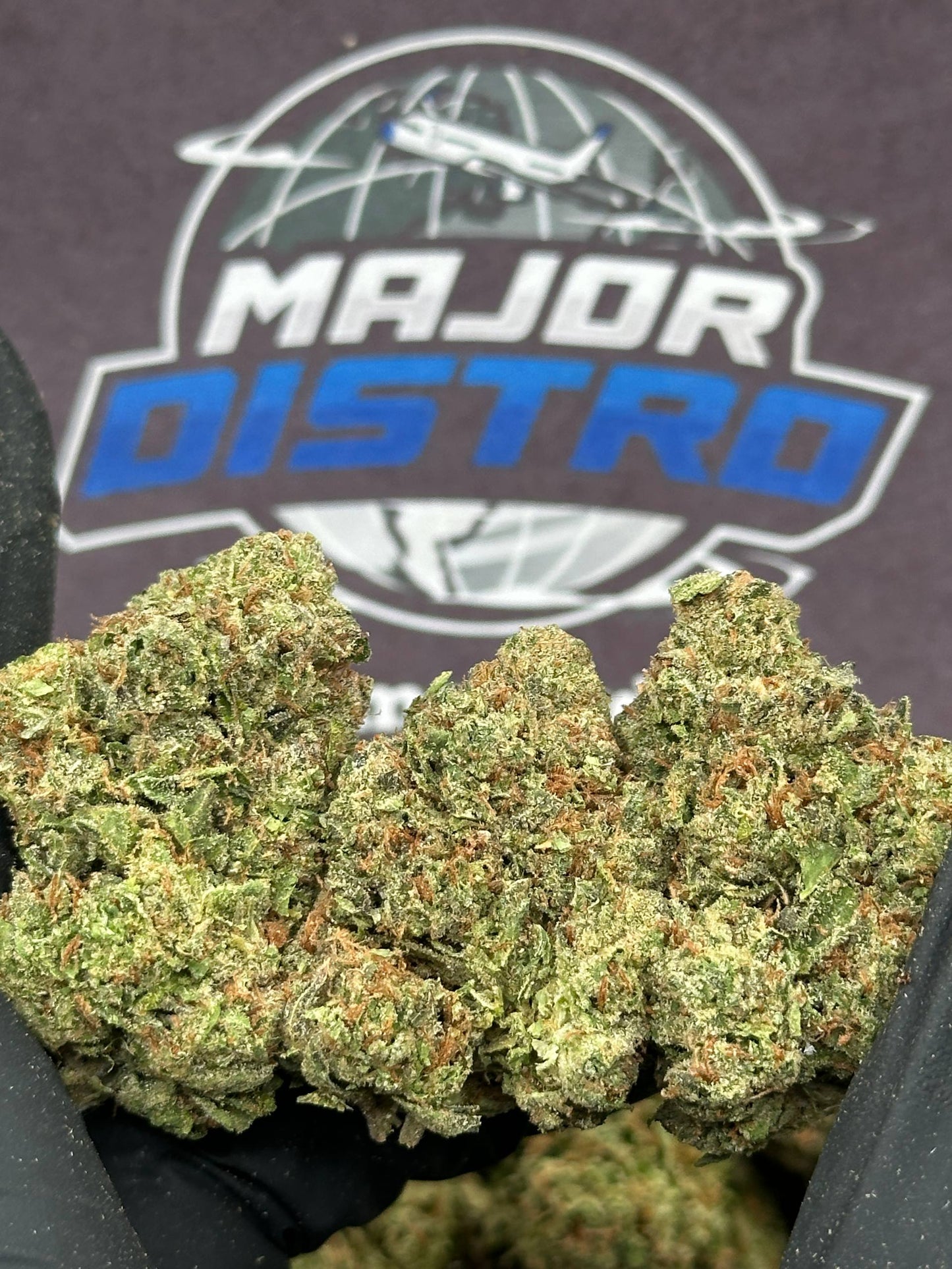#IP019 - Georgia Pie (Indica Hybrid)