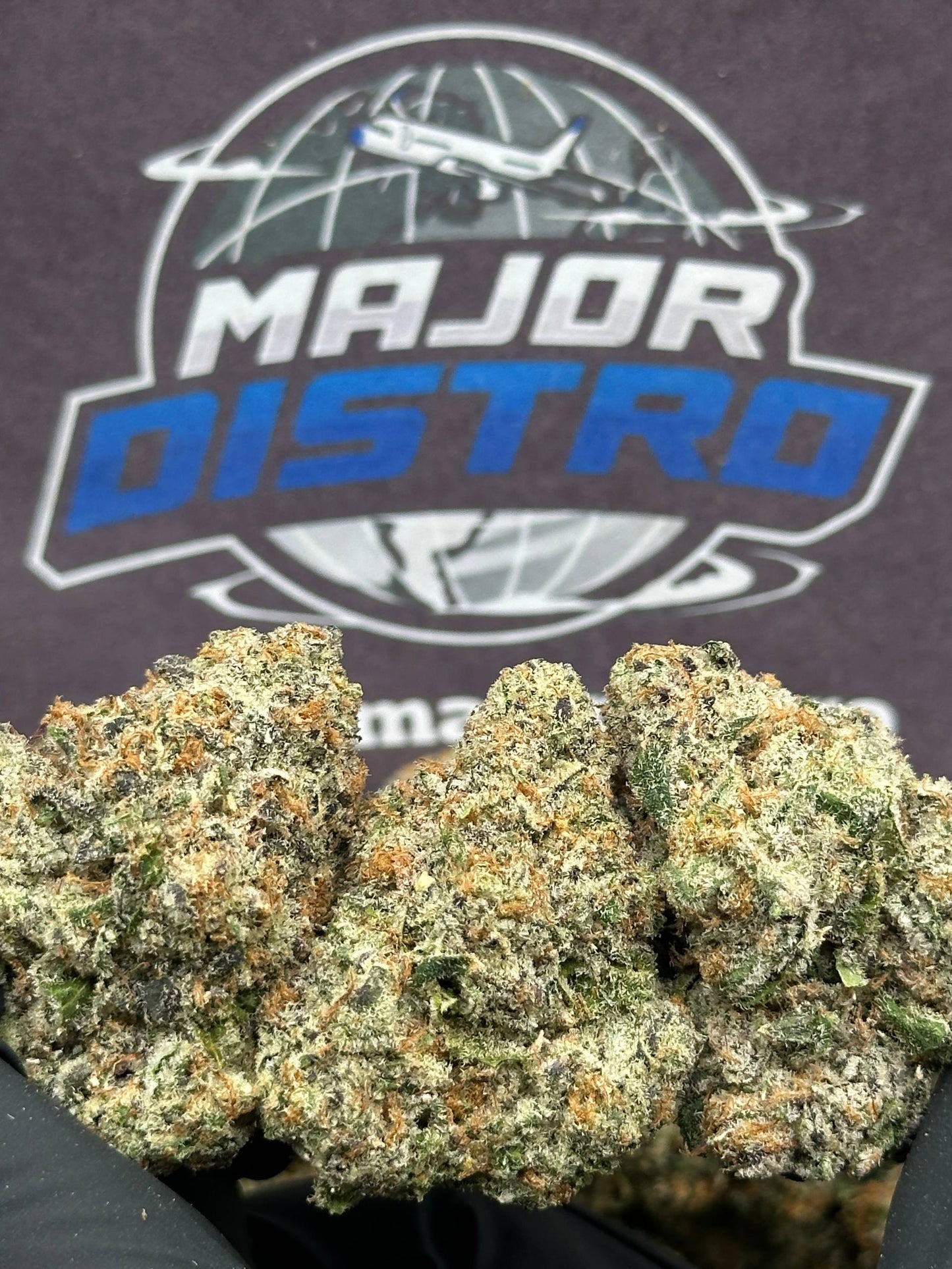 #IN214 - GMO (Indica)
