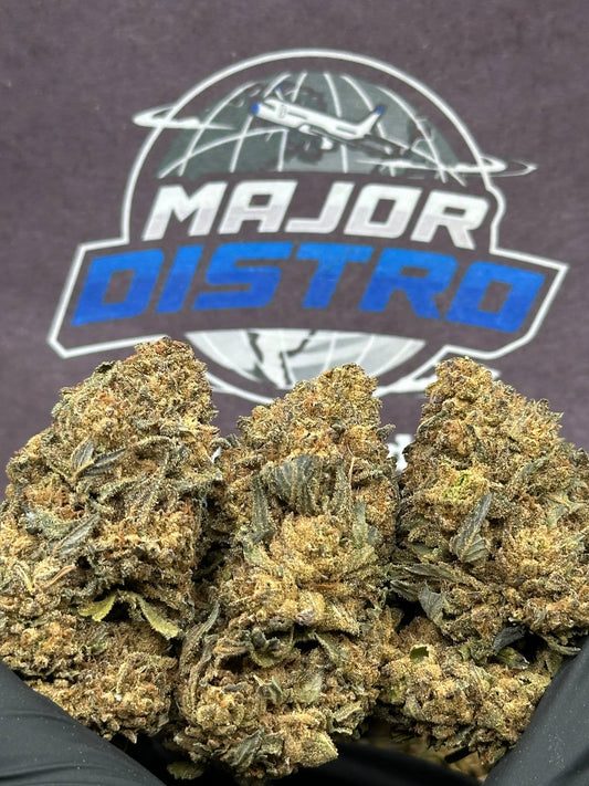 #FK135 - Blueberry Muffin (Hybrid)
