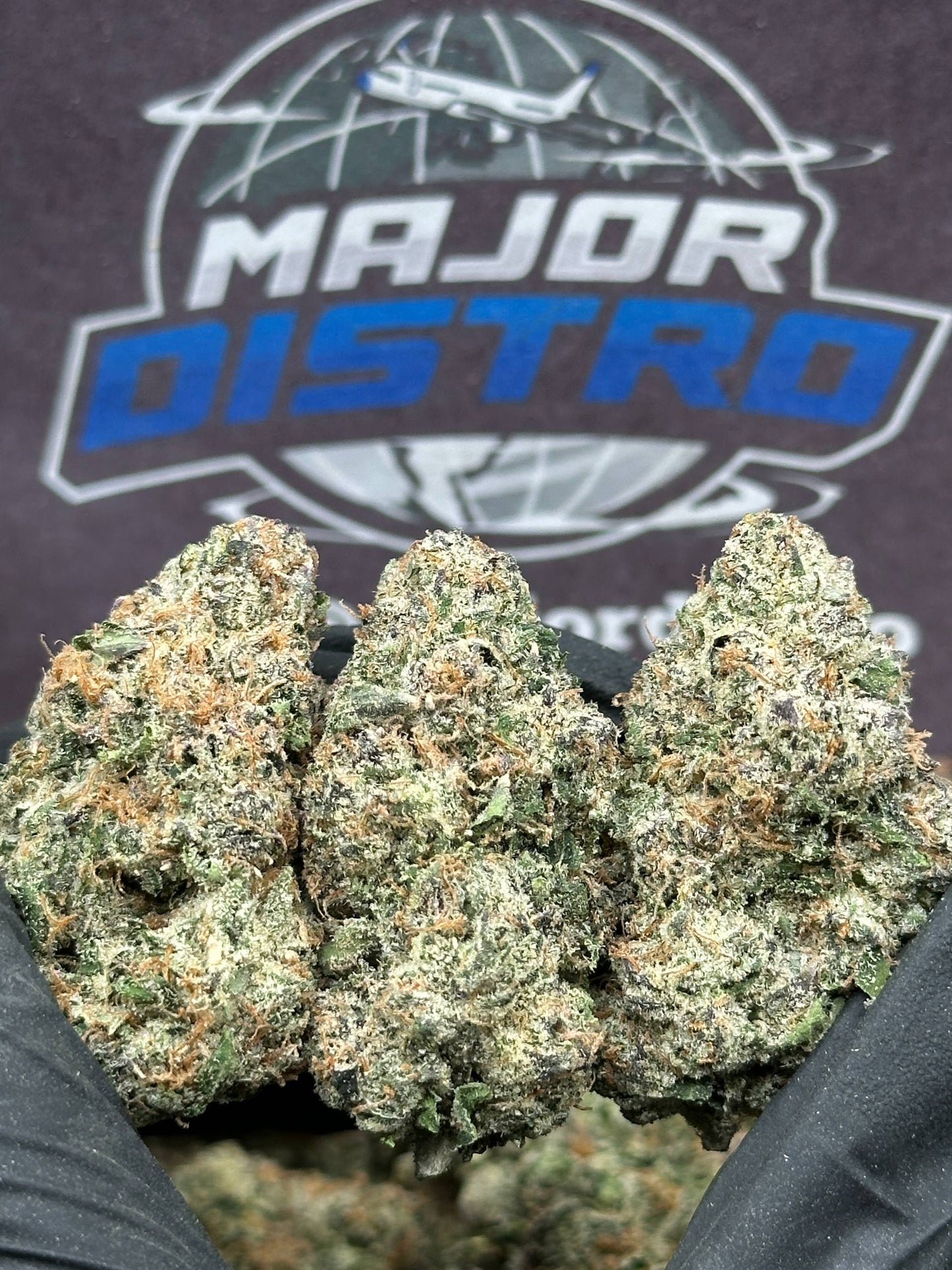 #KI211 - Black Mamba (Indica)