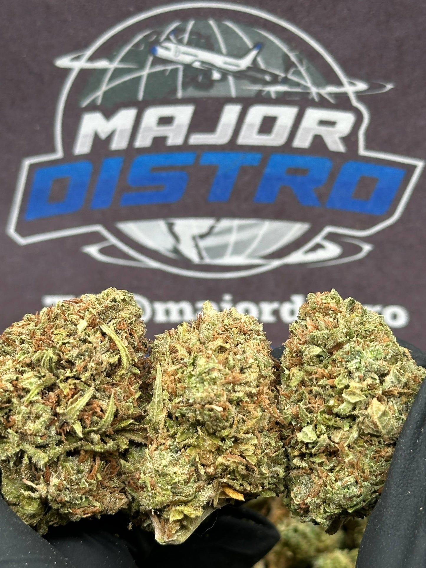 #FK137 - Citrus Burst (Hybrid)