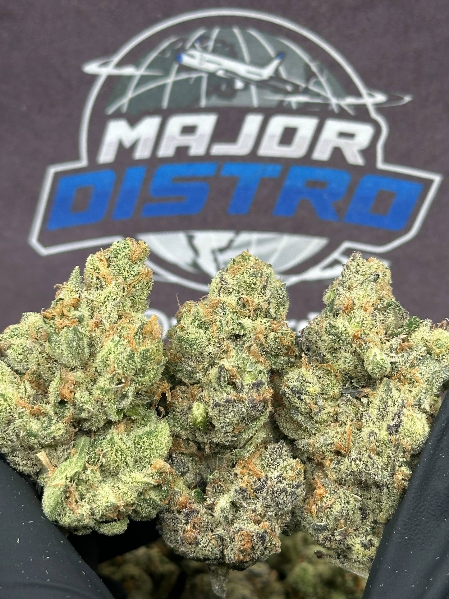 #XLG004 - Sour Diesel (Sativa)
