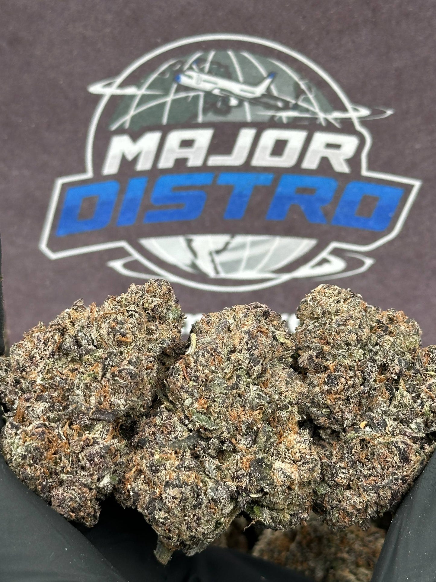#EA582 - Honey Bun (Hybrid)