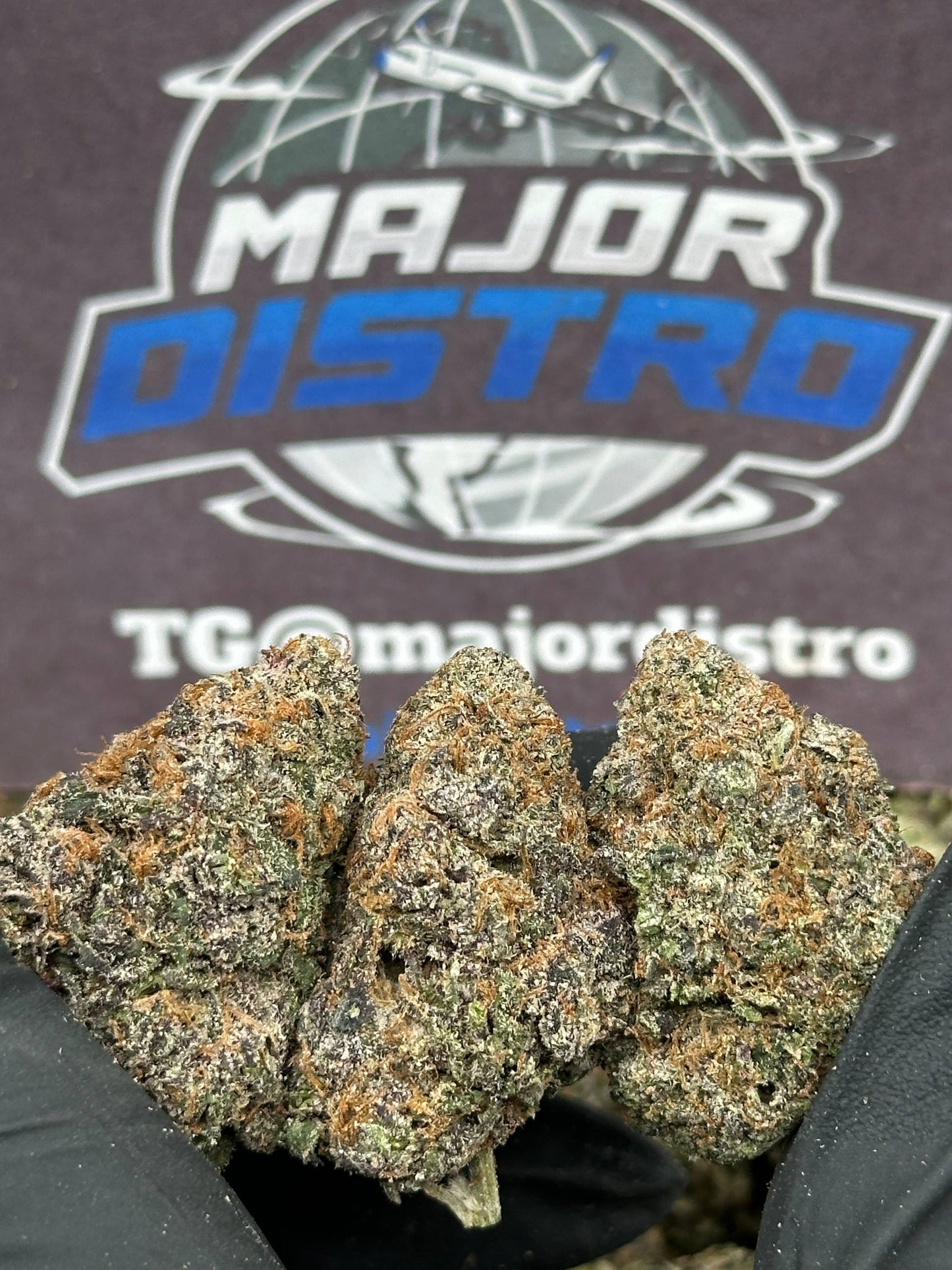 #EA584 - Strawberry Frost (Hybrid)