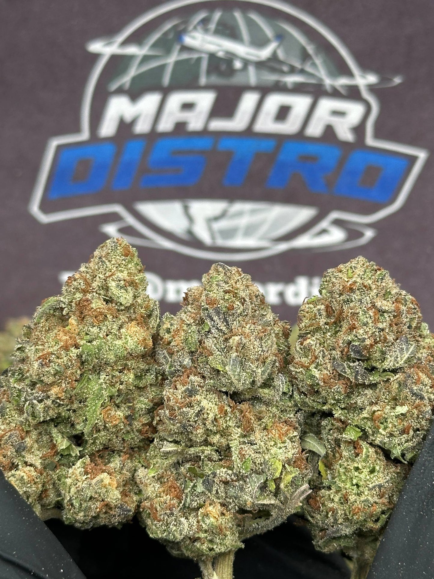 #FK141 - Sour Apple (Hybrid)
