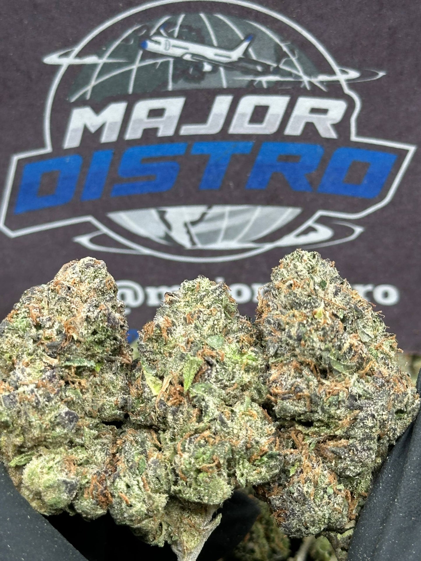 #EA585 - Tangie Mint (Hybrid)