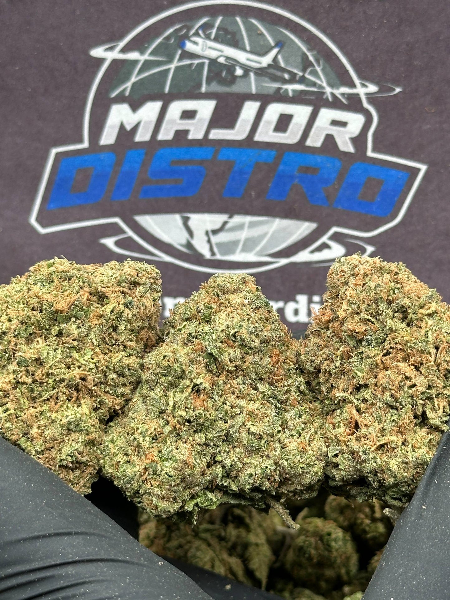#FK140 - Lemon Soda (Hybrid)