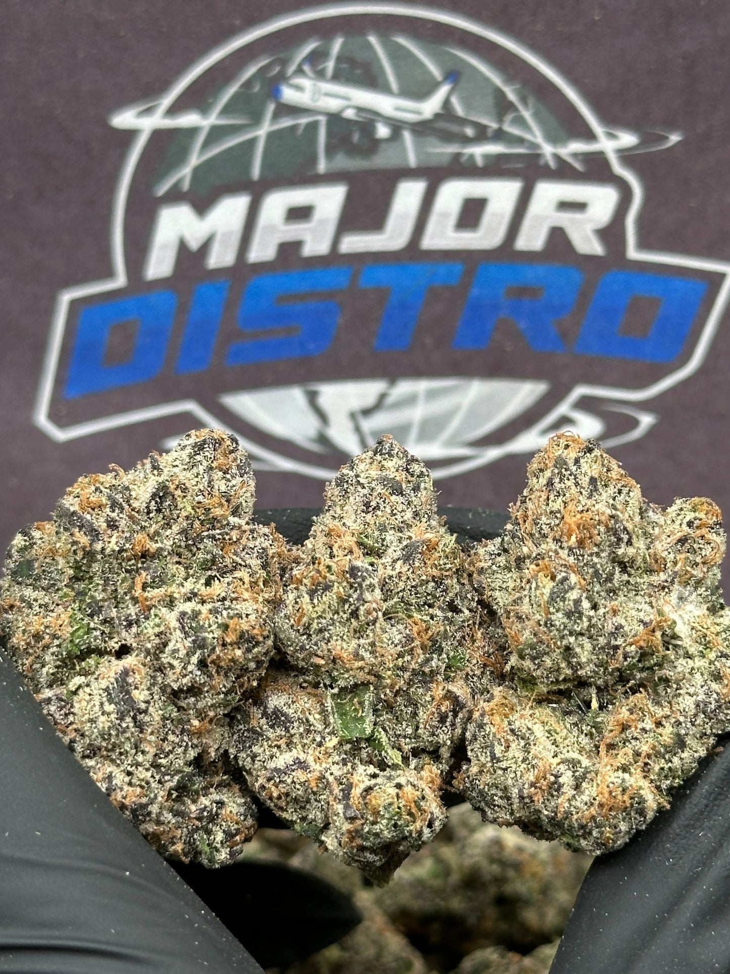 #RAP734 - Strawberry Sherbet (Hybrid)