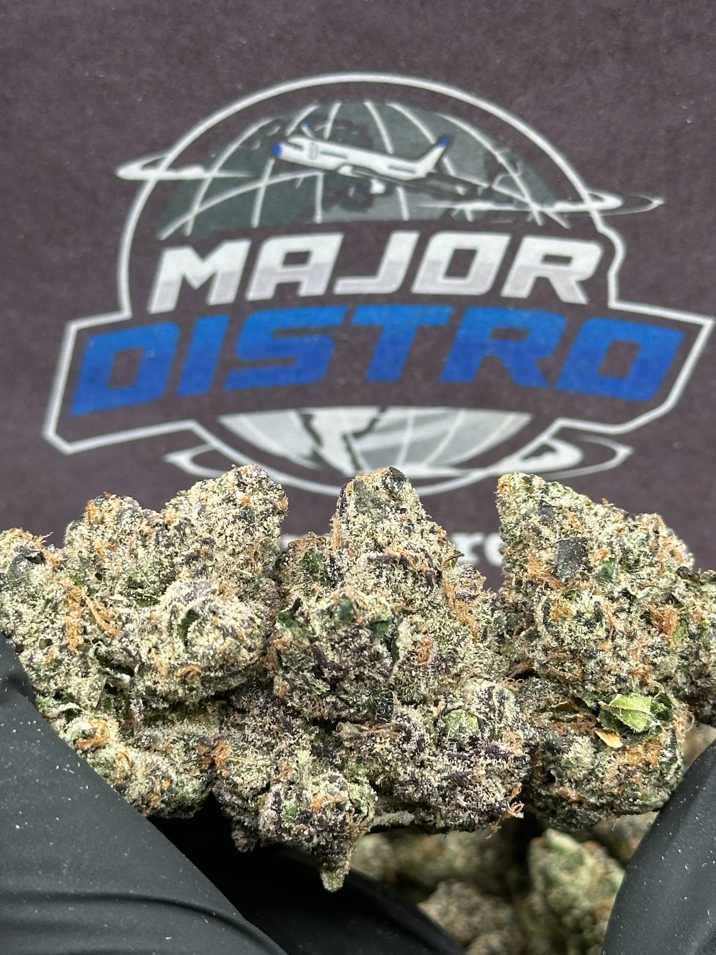 #RAP733 - Blueberry Diesel (Hybrid)
