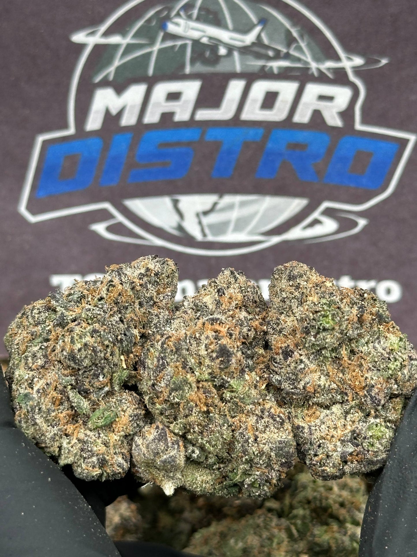 #EA597 - Berry Bliss (Hybrid)