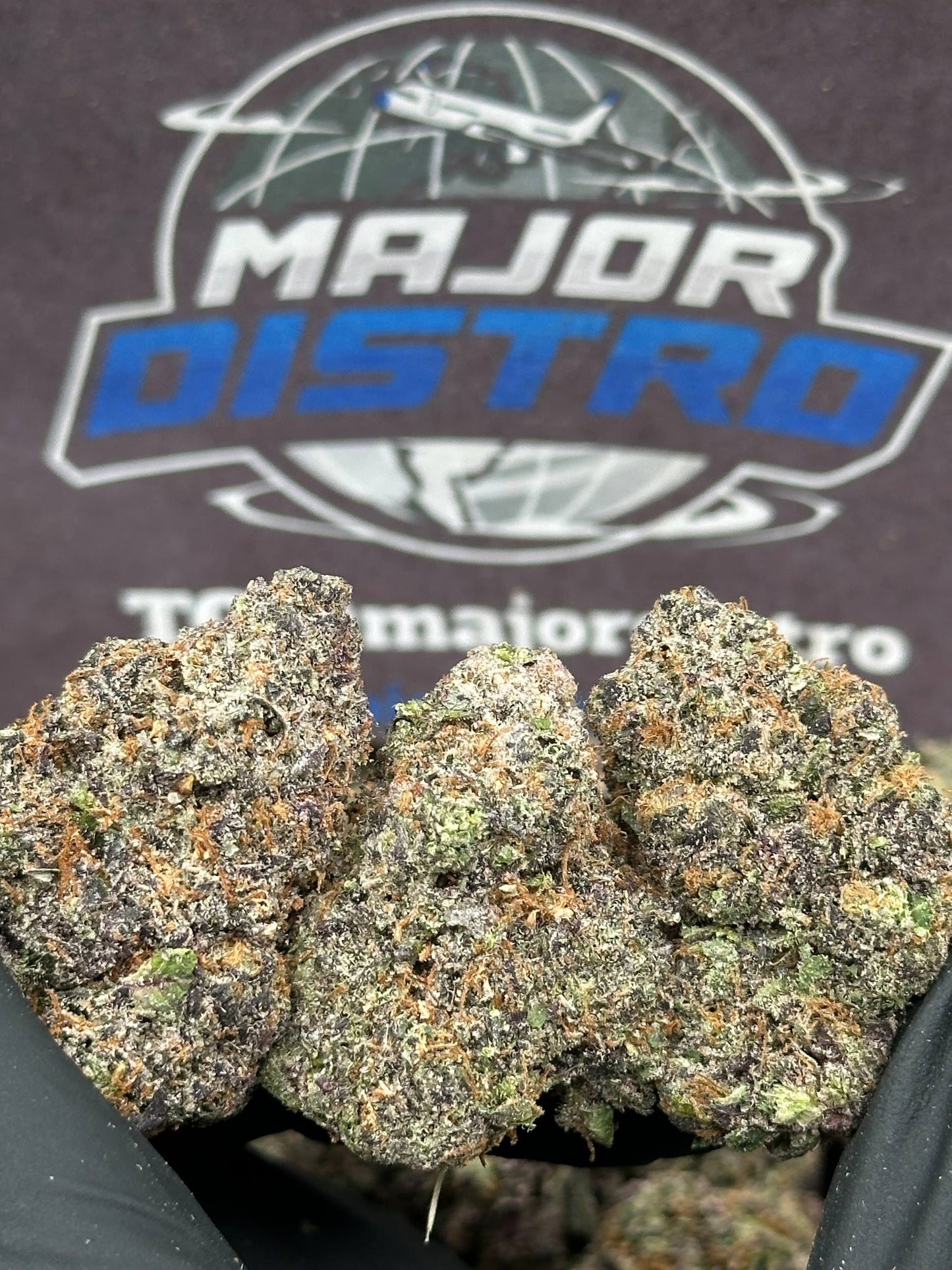 #EA599 - Honey Cake (Hybrid)