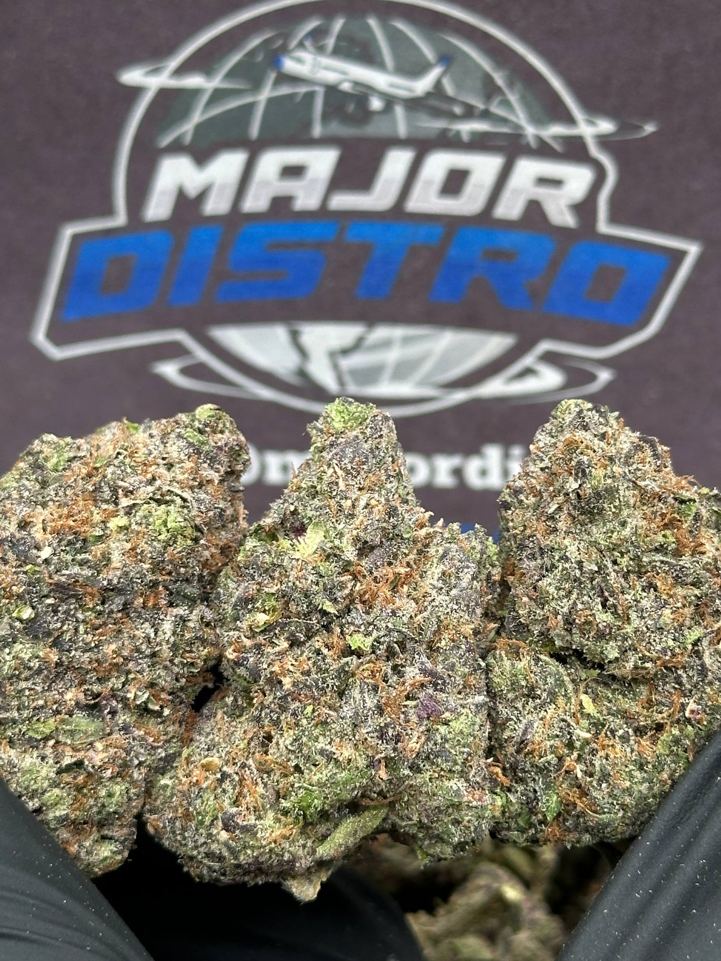 #EA600 - Apple Pie (Hybrid)