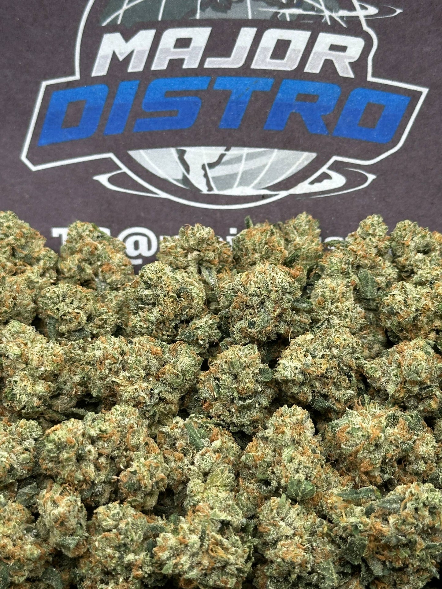 #KAM311 - Sweet Sherbet SM (Hybrid)