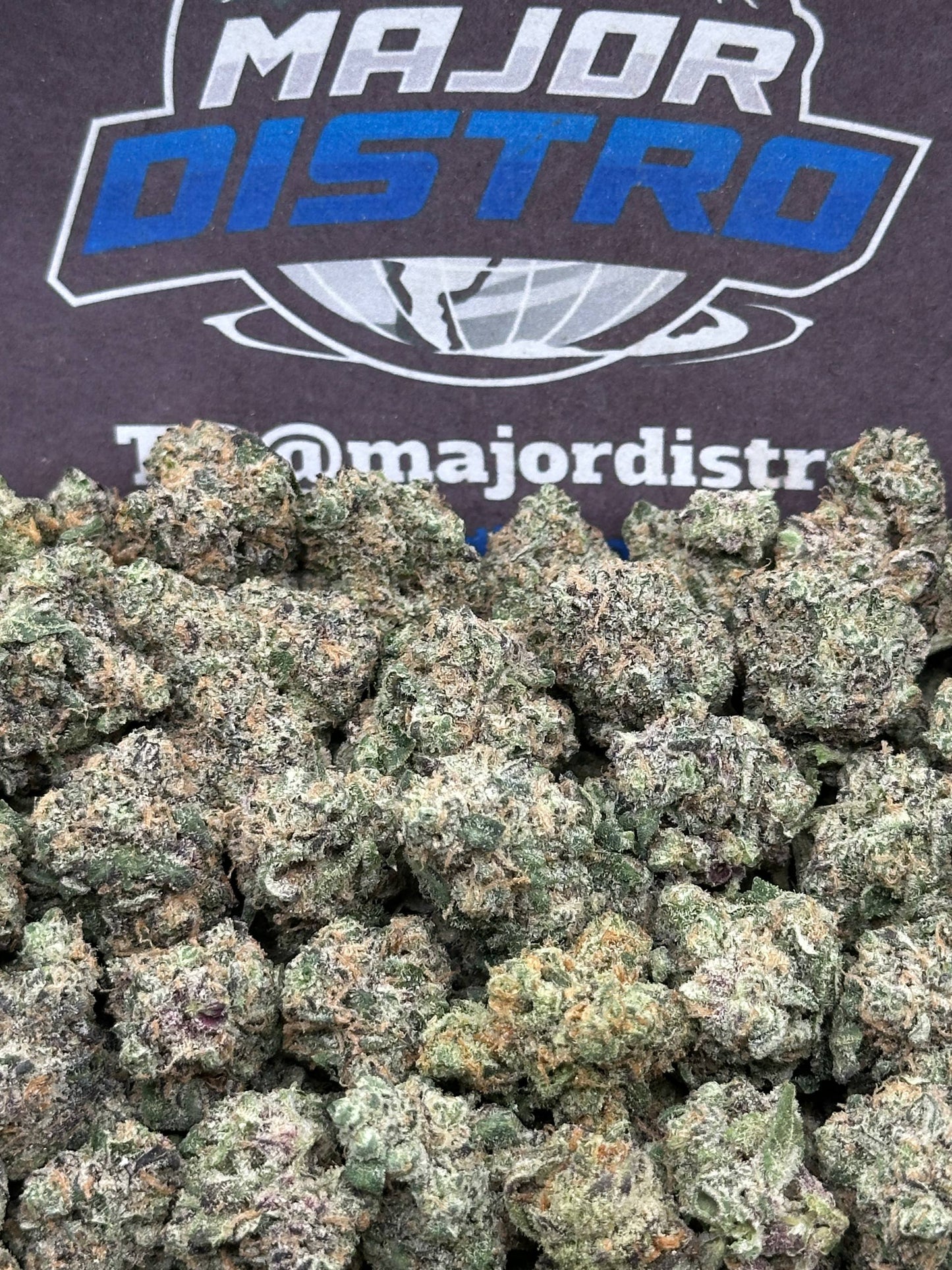 #KAM312 - Pink Mango SM (Hybrid)