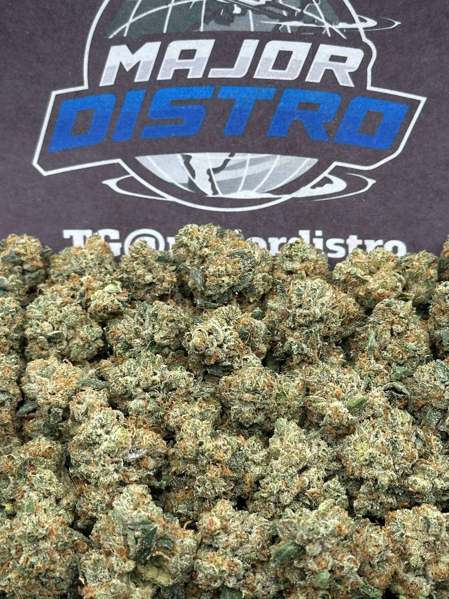 #KAM313 - Berry Glow SM (Hybrid)