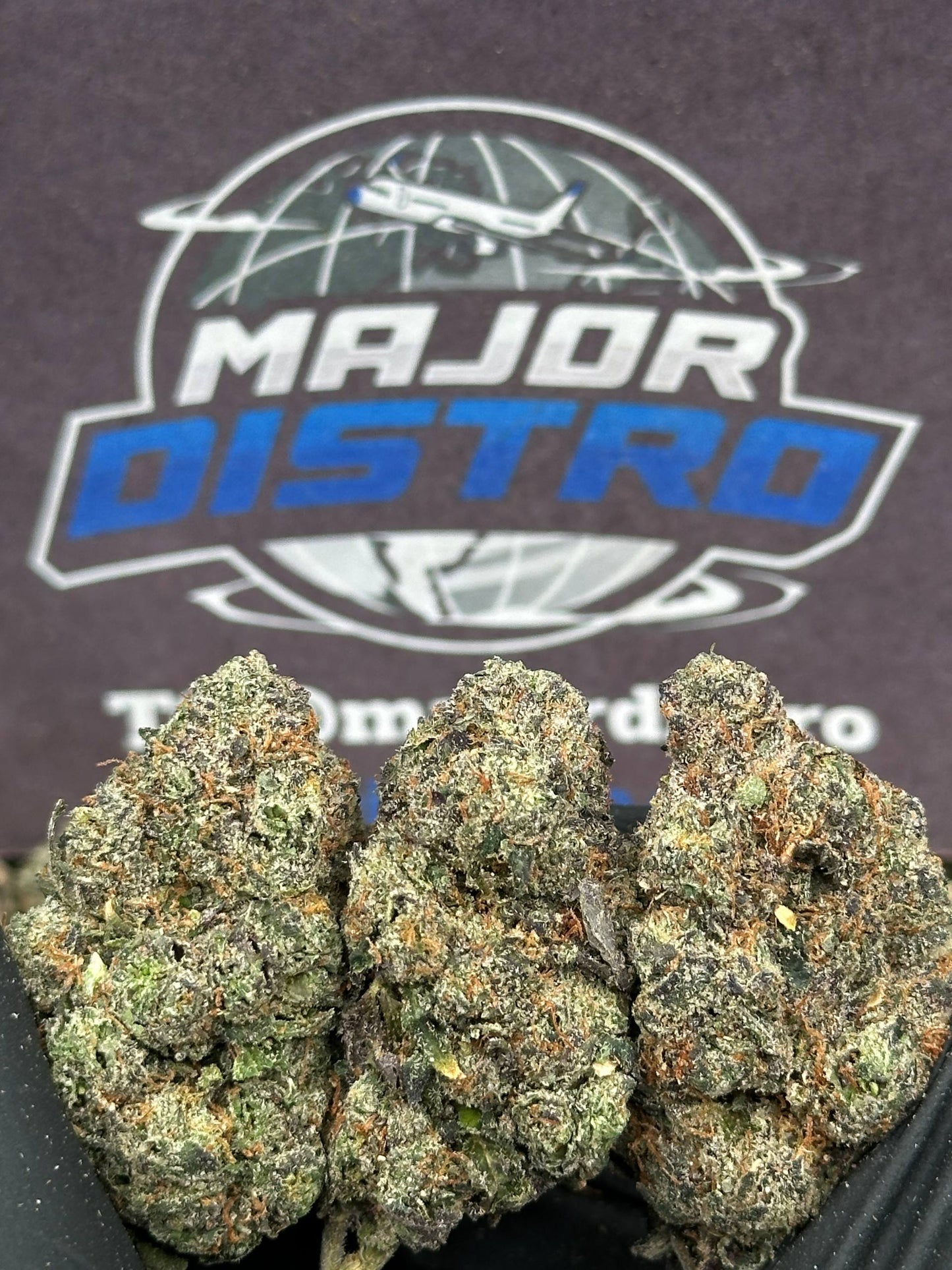 #EA604 - Tropical Bliss (Hybrid)