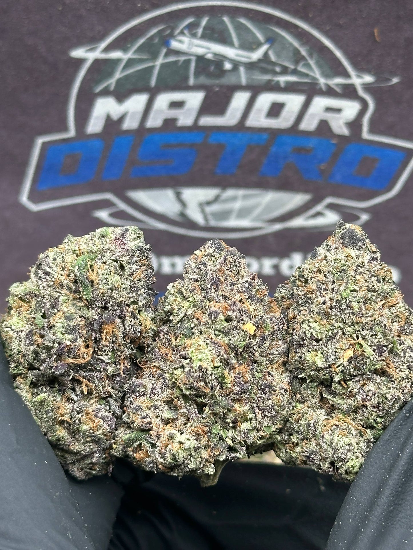 #EA605 - Sherbet Cake (Hybrid)