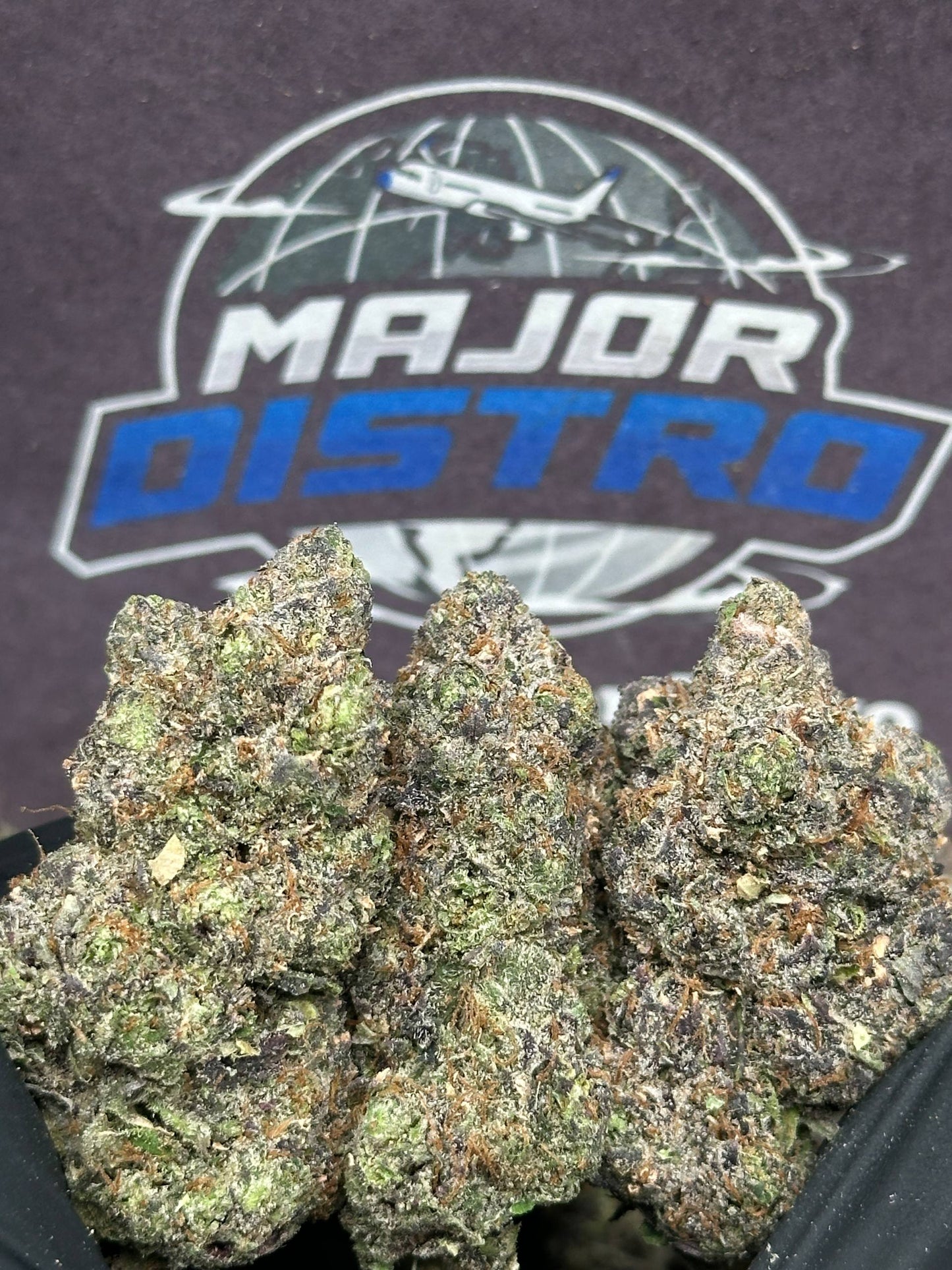 #EA606 - Mint Cream (Hybrid)