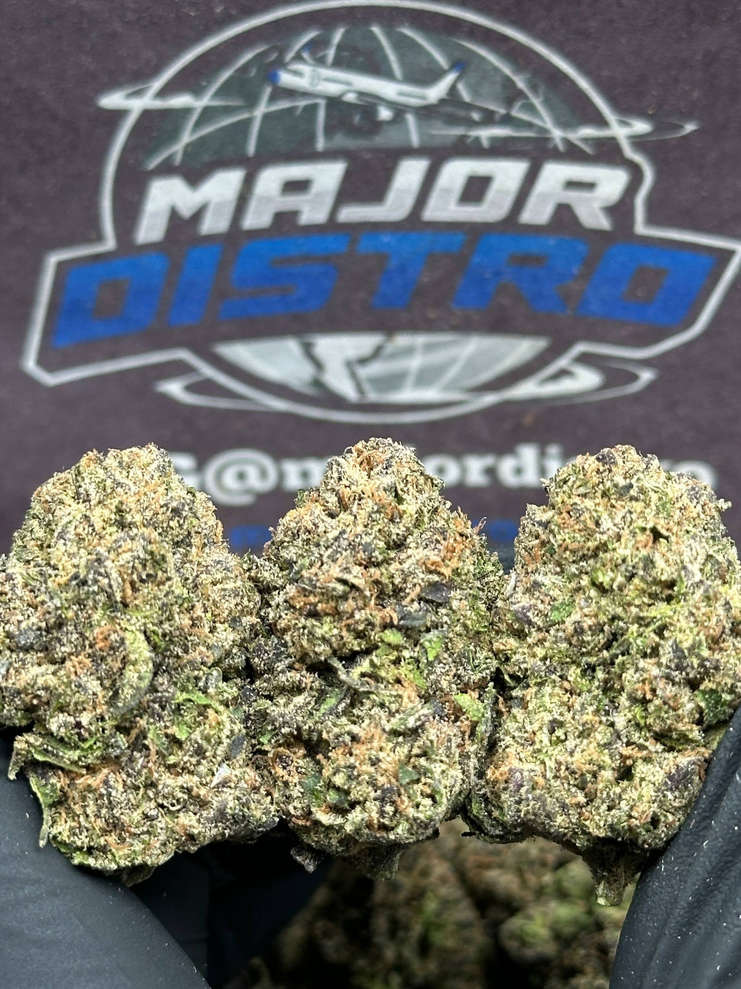 #CEA022 - Cookie Frost (Hybrid)