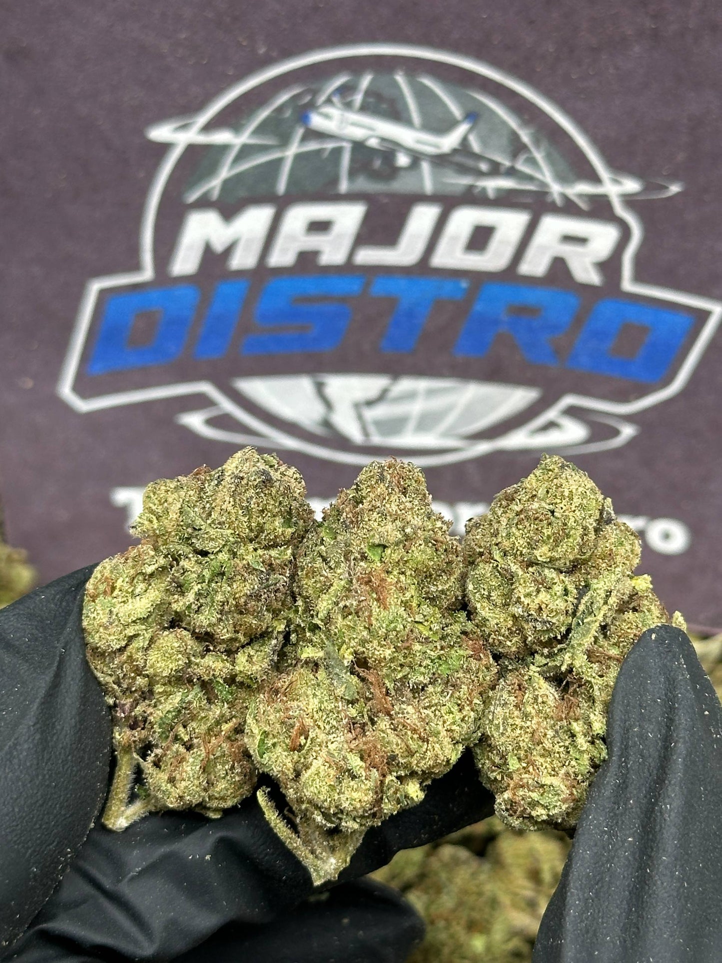 #IP027 - Sugar Cane (Hybrid)