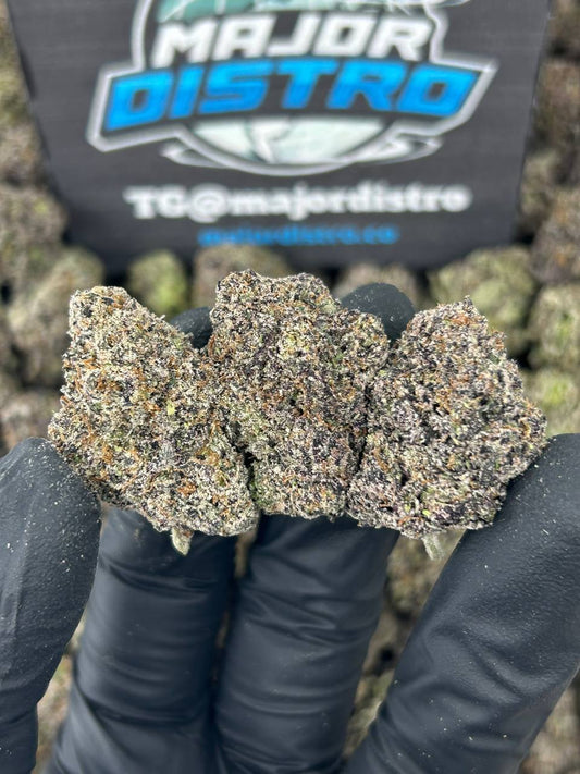 #N-CH365 - Mochi Snow (Hybrid)