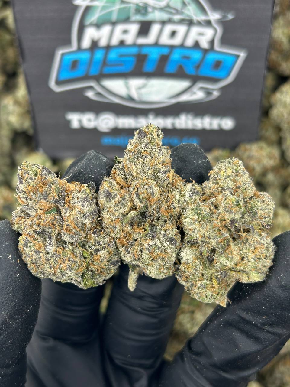 #N-LC097 - Faded Sherbert (Hybrid)