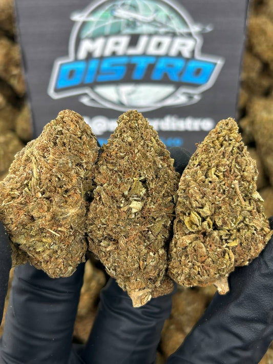 #B-EC015 - Sensi Star (Hybrid)