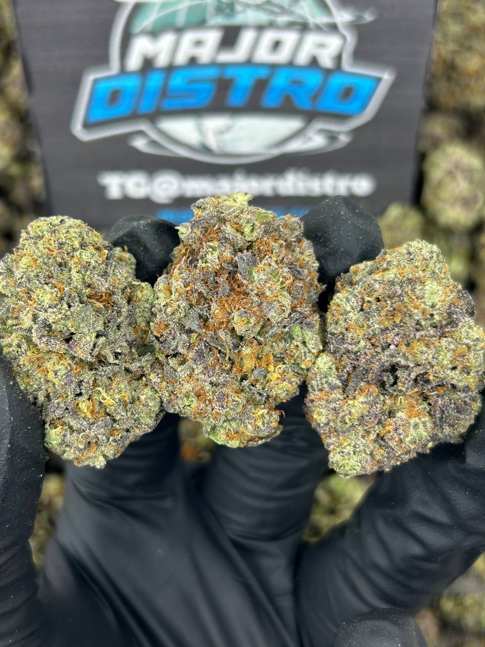 #N-EA796 - Lava Cake (Hybrid)