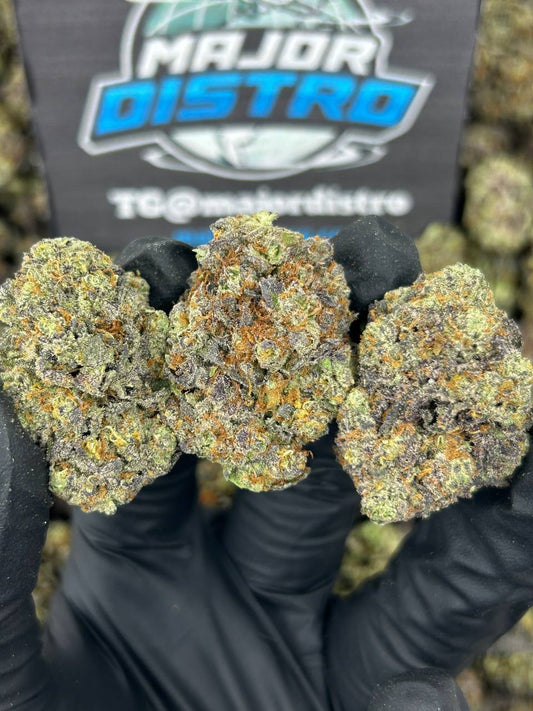 #N-EA796 - Lava Cake (Hybrid)