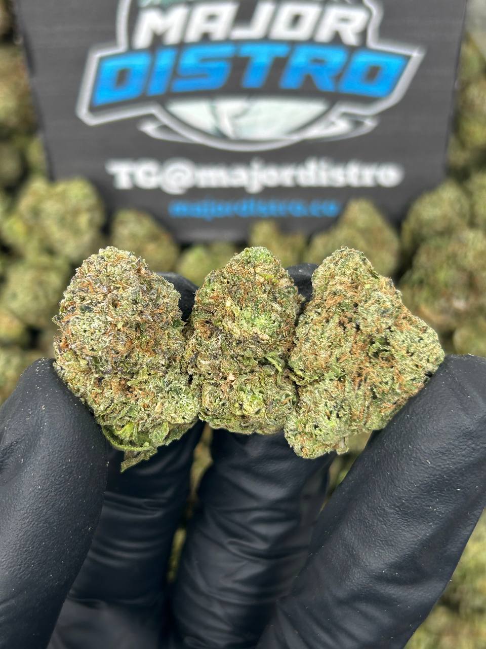 #N-EA812 - Grape Apez (Hybrid)