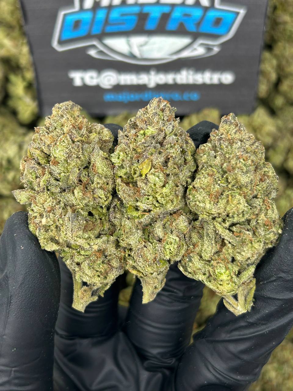 #N-EB284 - Blueberry Gas (Hybrid)