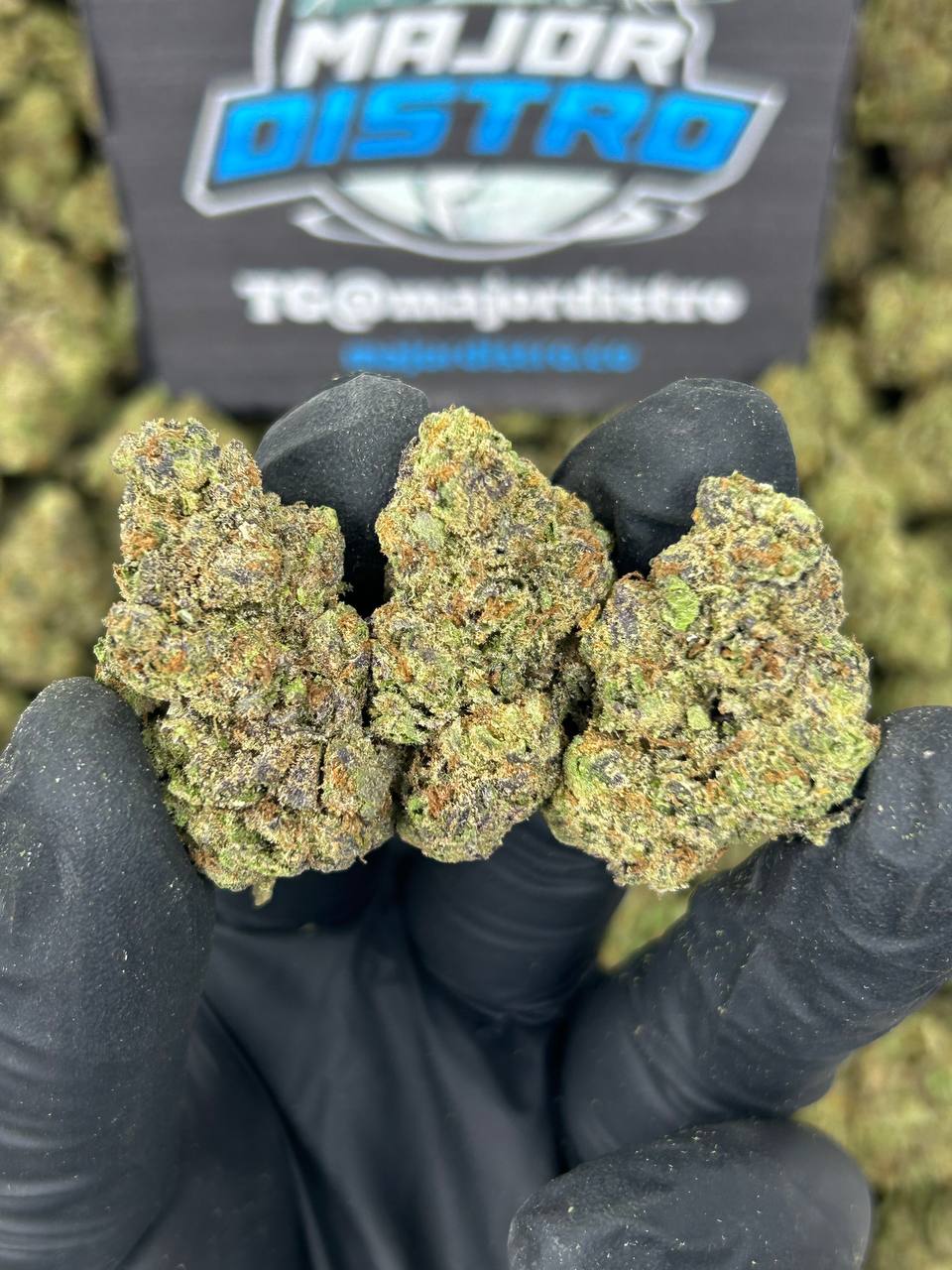 #N-EB280 - Bluemosa (Hybrid)
