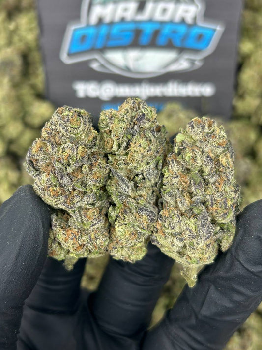 #N-EB281 - Galaxy Gusherz (Hybrid)