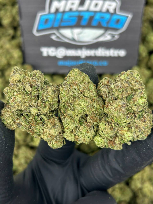 #N-EB278 - Candy Cream (Hybrid)