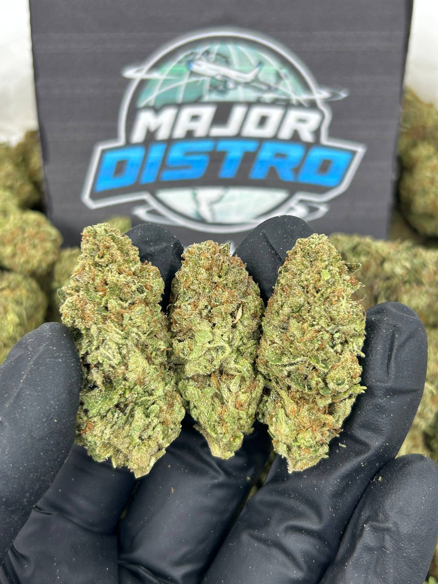 #N-EC087 - Cheese (Hybrid)