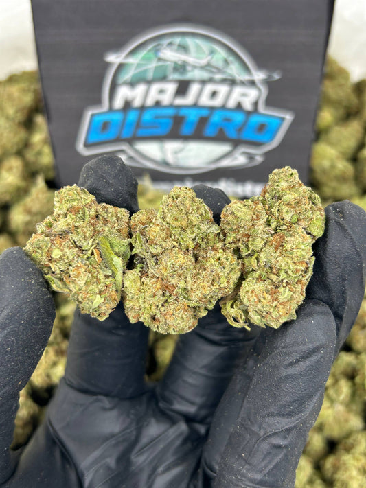 #N-EC089 - Ghost OG (Hybrid)