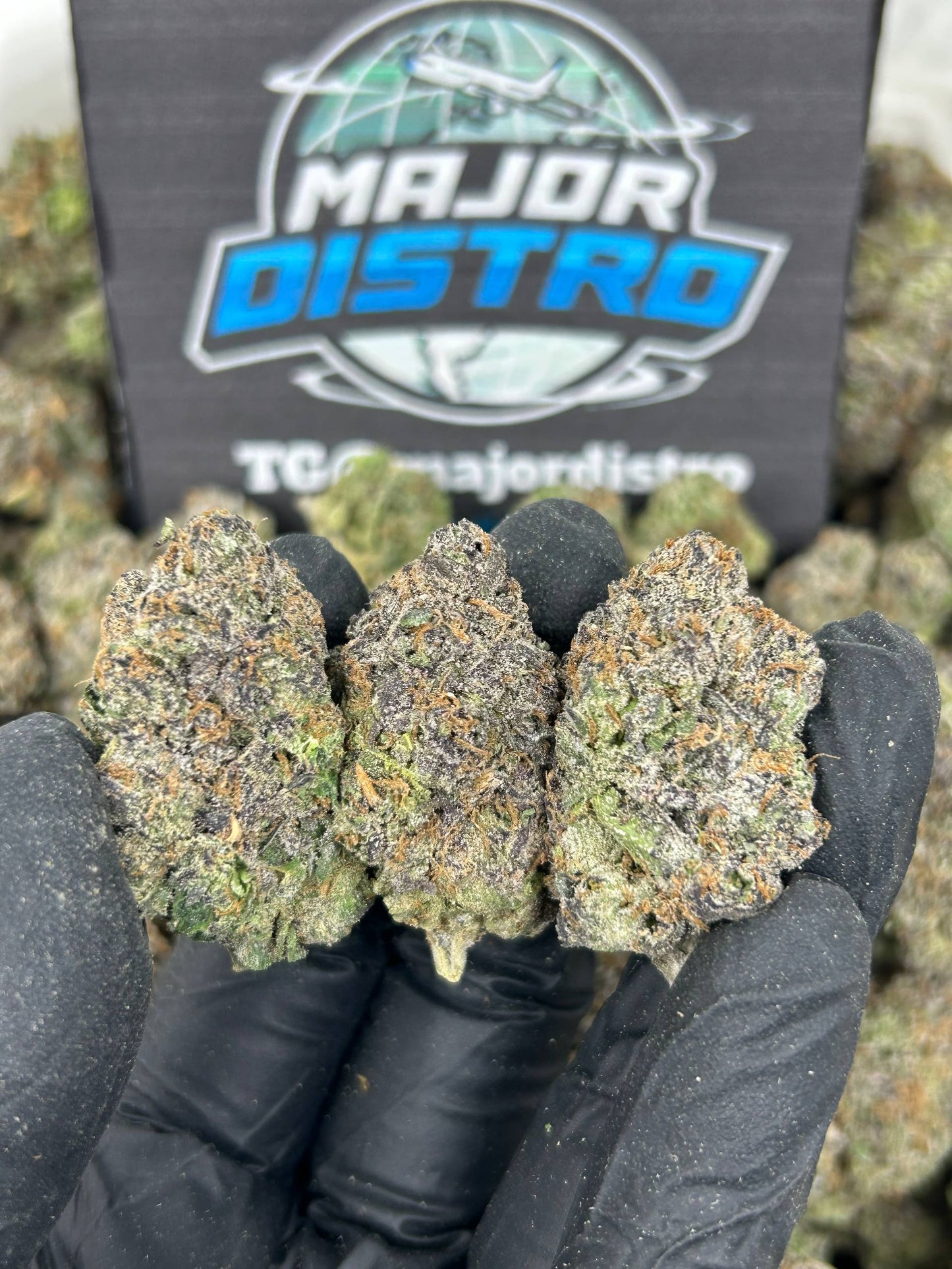 #N-EA824 - White Rabbit Candy (Hybrid)