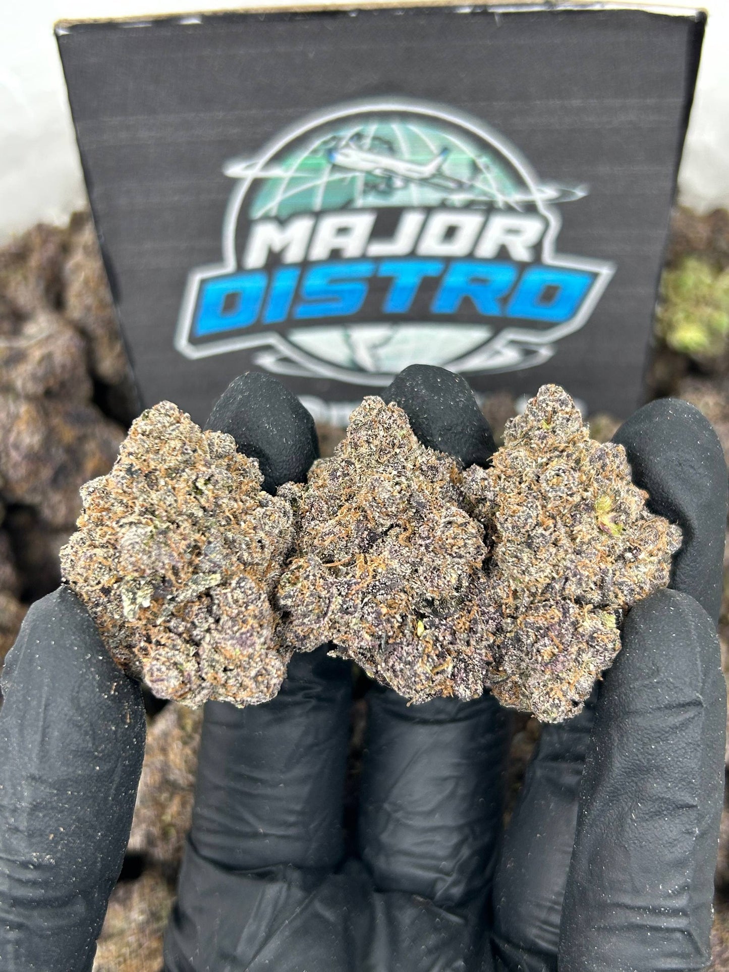 #N-CM1324 - Bubble Gum Pop (Hybrid)