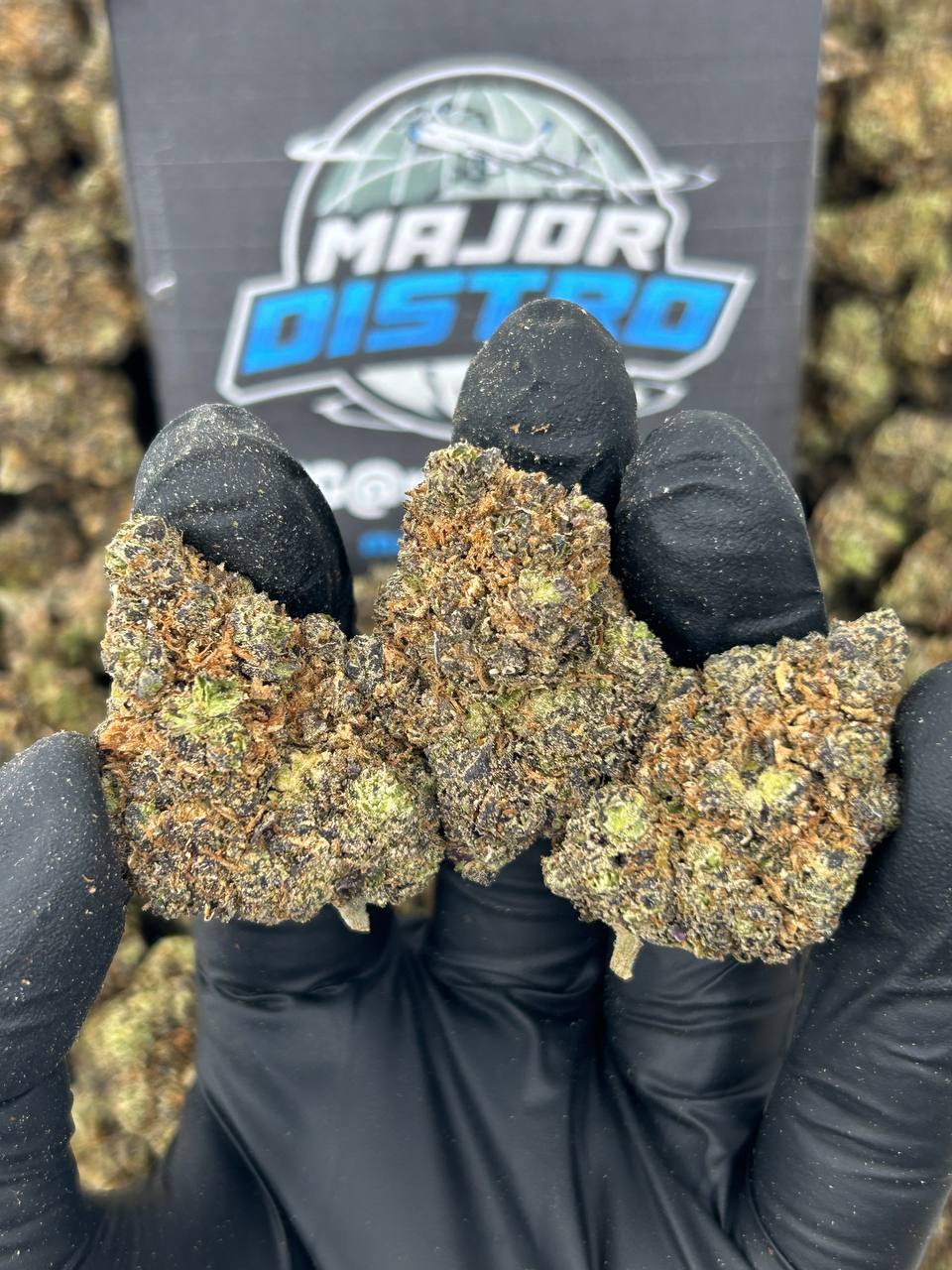 #B-EA004 - Fruit Roll Upz (Hybrid)