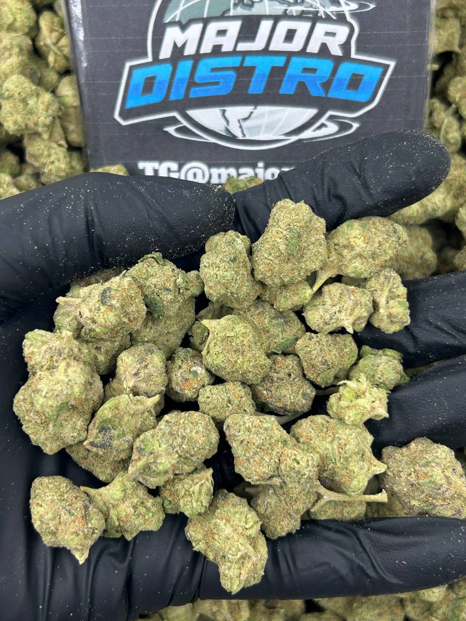 #B-ECS009 - Green Goblin SM (Indica)