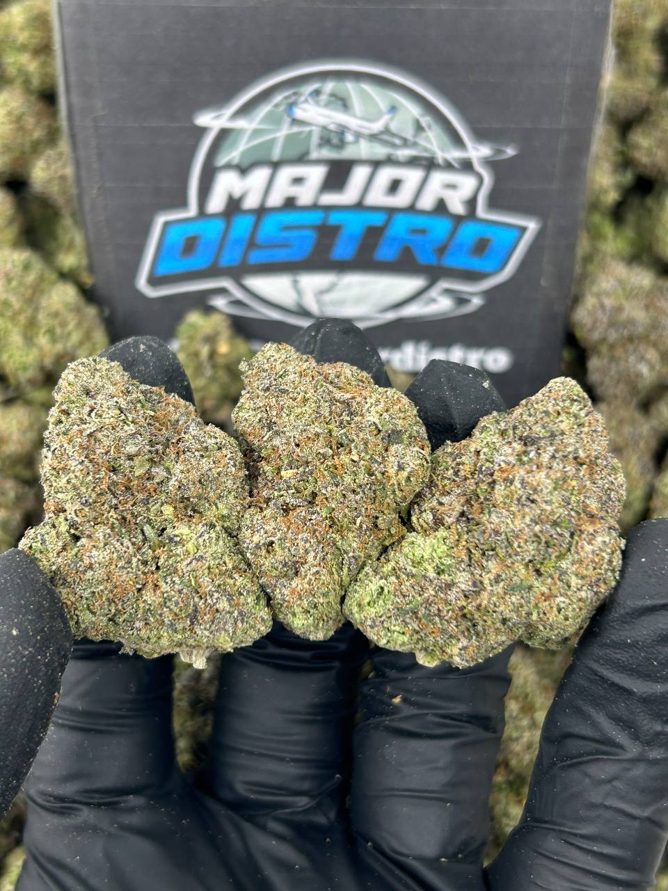 #N-CM1131 - Grape Gumbo (Hybrid)