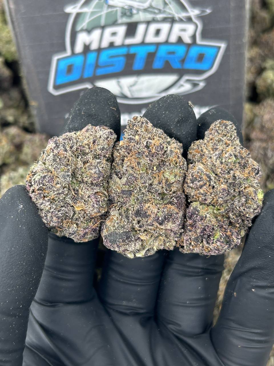 #N-CM1135 - Candylato (Indica)