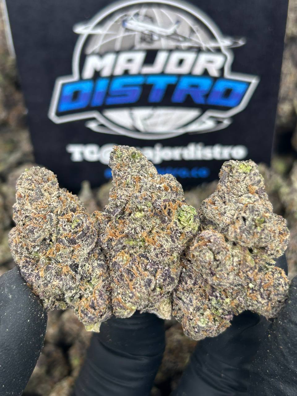 #N-CH336 - Frozen Mochiz (Indica)