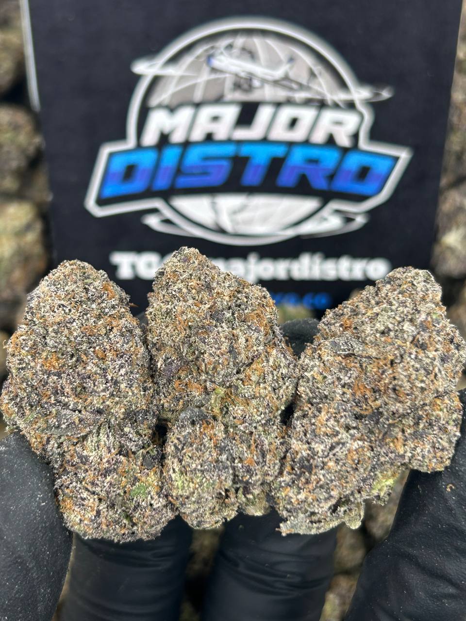 #N-CM1121 - Midnight Zookiez (Indica)
