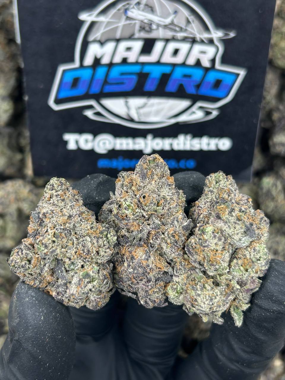 #N-CM1136 - Gelato 41 (Indica)